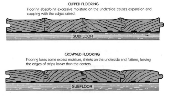 Wood And Moisture